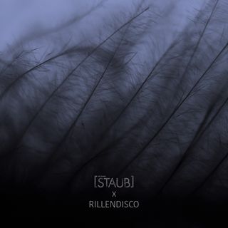 Weiche, federartige Strukturen in Nahaufnahme, vielleicht Fell oder Daunen. Das Bild ist in gedämpftem Blaugrau eingefärbt, die feinen Fasern verlaufen von oben nach unten.